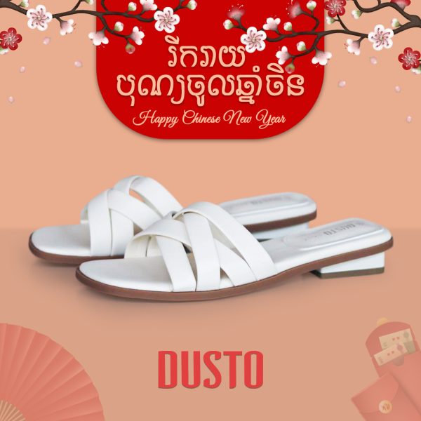 ស្បែកជើងស៊កកែងទាប ថ្មី2025 DUSTO-DW0063